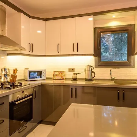 Villa Oreo - 3 Bedroom Holiday With Jaccuzi In Yesiluezuemlue *